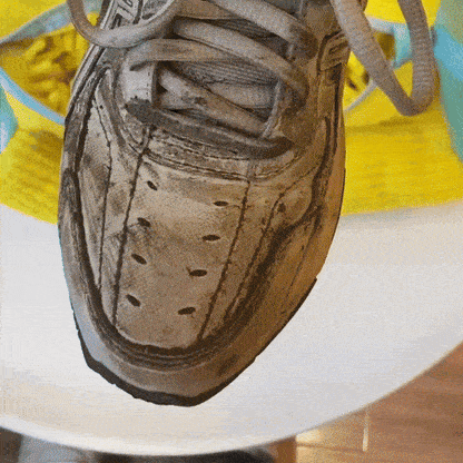 SHOE LAUNDRY AND CLEANING BAG™